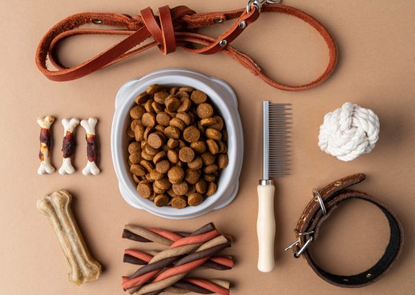 pet-accessories-still-life-with-food-bowl-treats